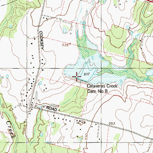 Topographic Map of Calaveras Creek Dam Number 8, TX