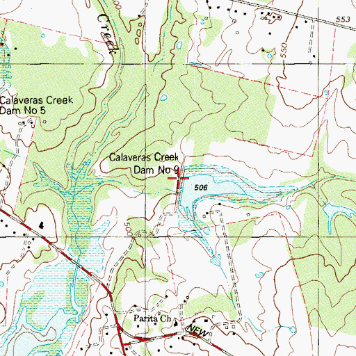 Topographic Map of Calaveras Creek Dam Number 9, TX