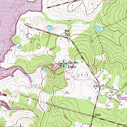 Topographic Map of Calfee Lake, TX