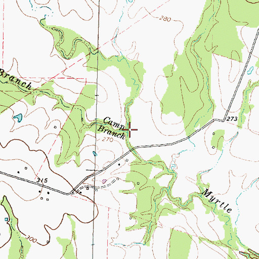 Topographic Map of Camp Branch, TX