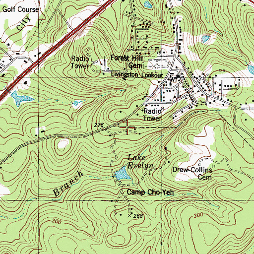Topographic Map of Camp Cho Yen, TX