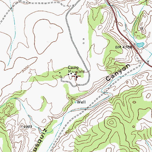 Topographic Map of Camp Musquiz, TX