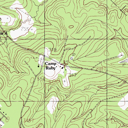 Topographic Map of Camp Ruby, TX