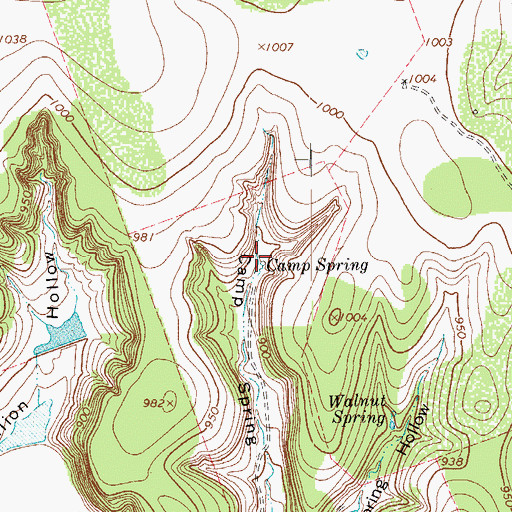 Topographic Map of Camp Spring, TX
