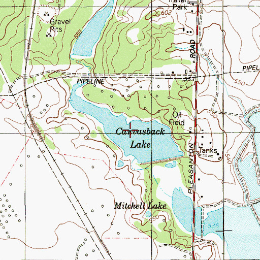 Topographic Map of Canvasback Lake, TX