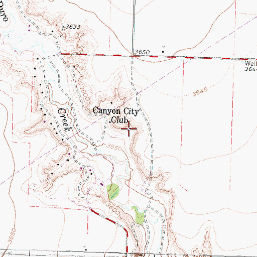 Topographic Map of Canyon City Club, TX