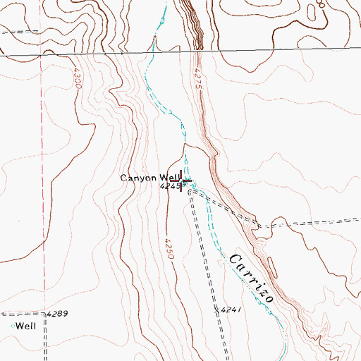 Topographic Map of Canyon Well, TX