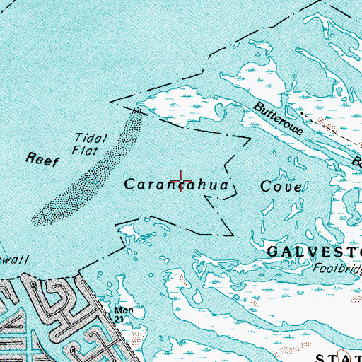 Topographic Map of Carancahua Cove, TX