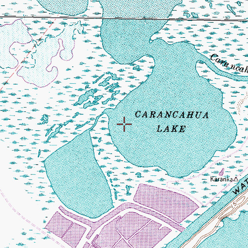 Topographic Map of Carancahua Lake, TX