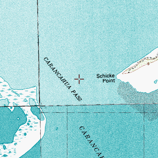 Topographic Map of Carancahua Pass, TX
