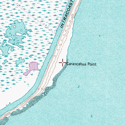 Topographic Map of Carancahua Point, TX