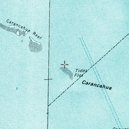 Topographic Map of Carancahua Reef, TX
