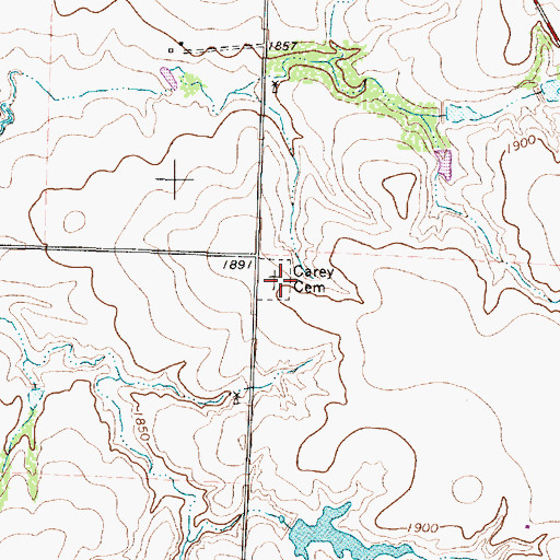Topographic Map of Carey Cemetery, TX