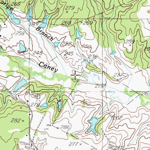 Topographic Map of Carlyle Branch, TX