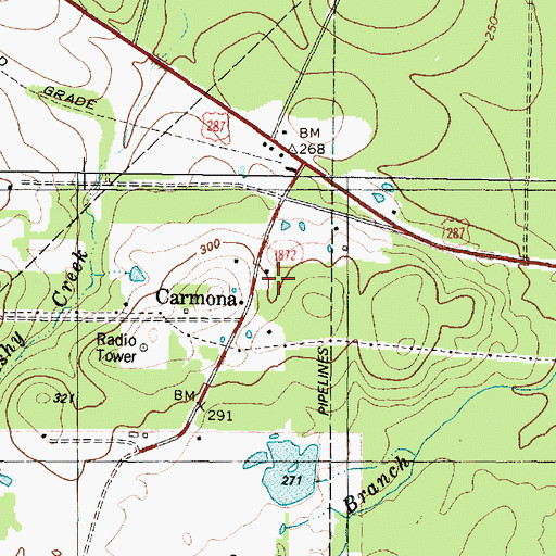 Topographic Map of Carmona Church, TX