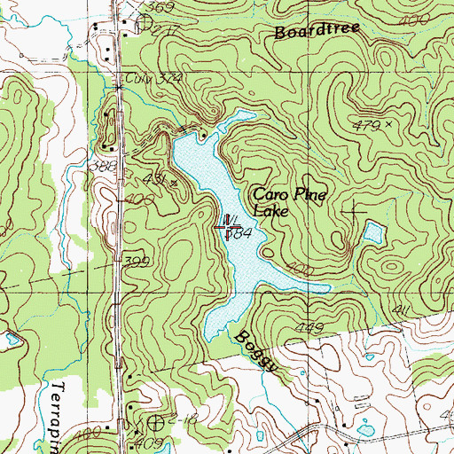 Topographic Map of Caro Pine Lake, TX