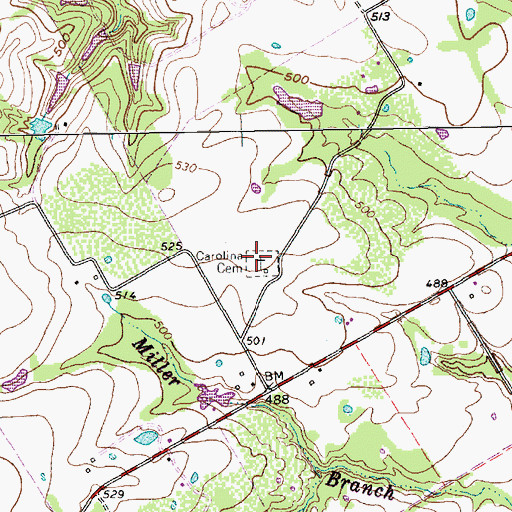Topographic Map of Carolina Cemetery, TX