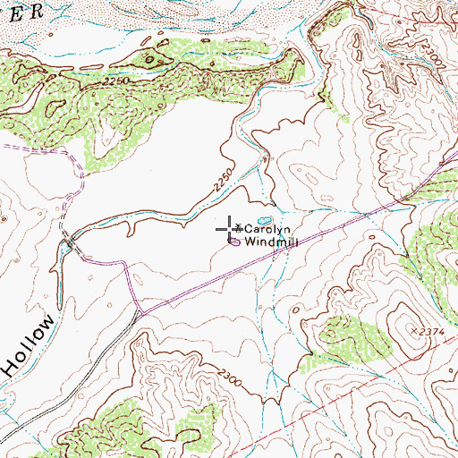 Topographic Map of Carolyn Windmill, TX