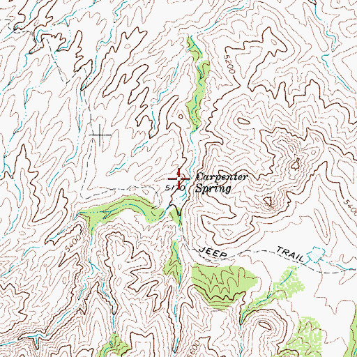 Topographic Map of Carpenter Spring, TX