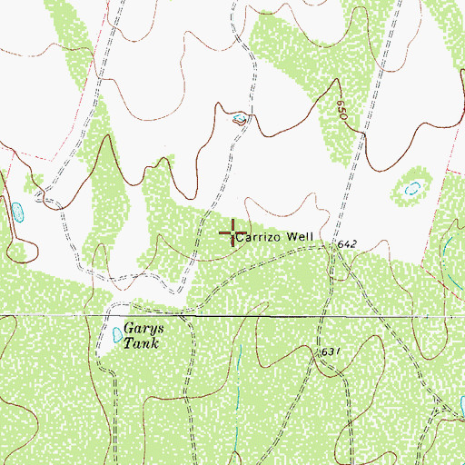 Topographic Map of Carrizo Well, TX