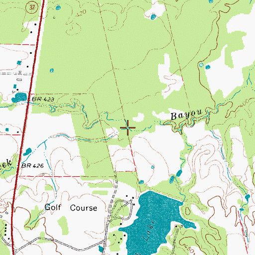 Topographic Map of Carroll Creek, TX