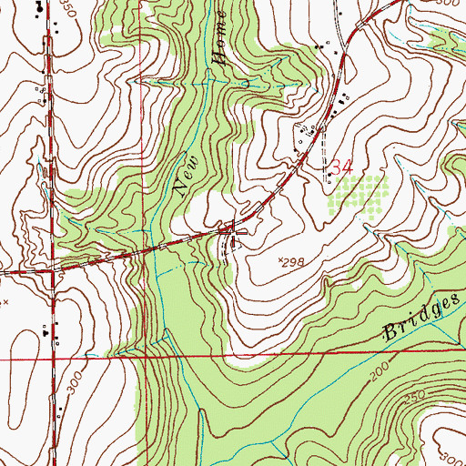 Topographic Map of New Home Cemetery, AL