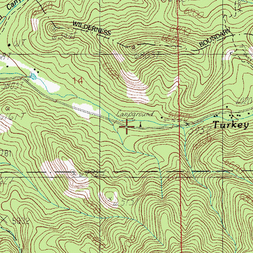 Topographic Map of West Turkey Creek Campground, AZ