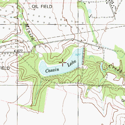 Topographic Map of Cassin Lake, TX