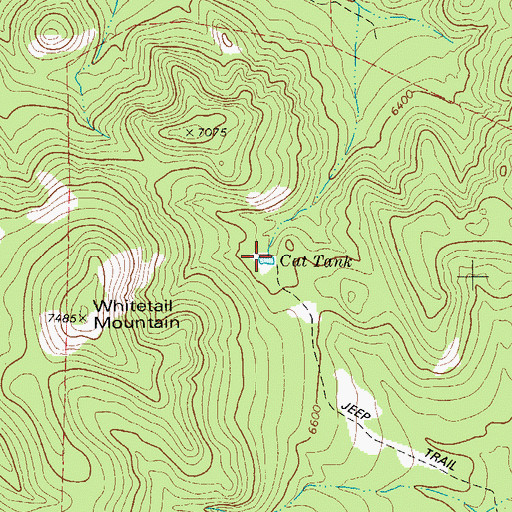 Topographic Map of Cat Tank, TX