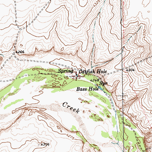 Topographic Map of Catfish Hole, TX