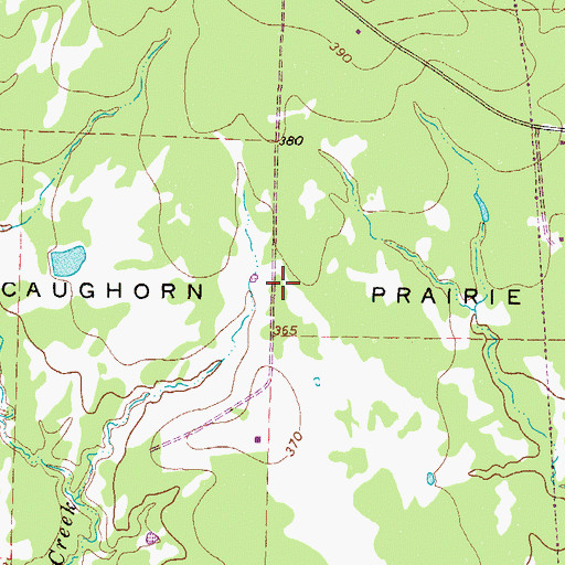 Topographic Map of Caughorn Prairie, TX