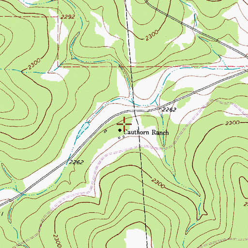 Topographic Map of Cauthorn Ranch, TX