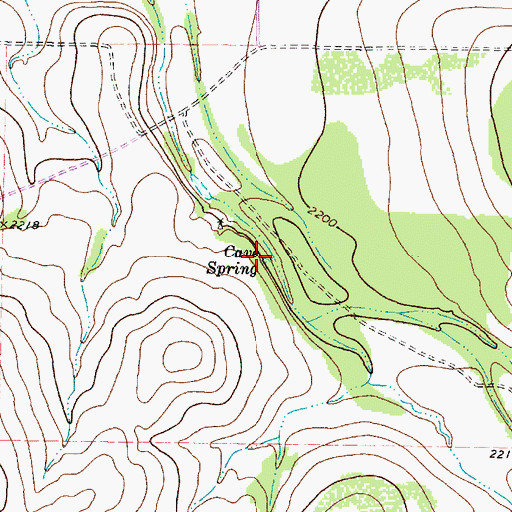 Topographic Map of Cave Spring, TX
