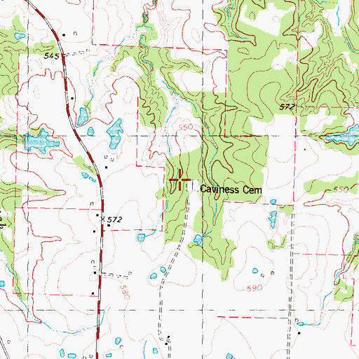 Topographic Map of Caviness Cemetery, TX