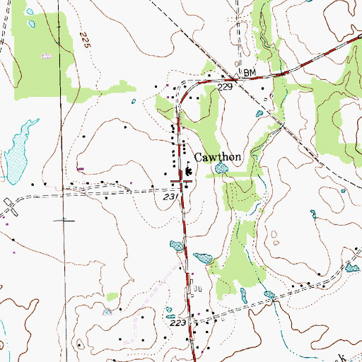 Topographic Map of Cawthon, TX