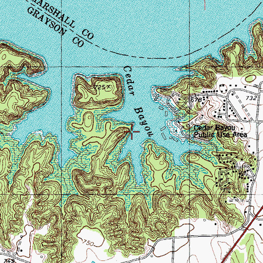 Topographic Map of Cedar Bayou, TX