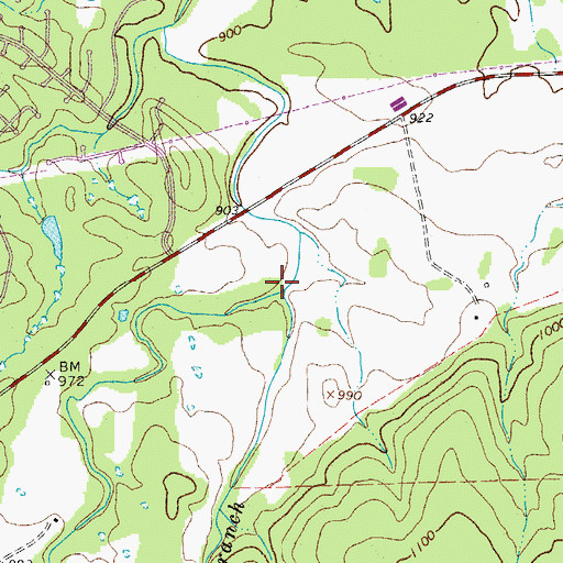 Topographic Map of Cedar Branch, TX