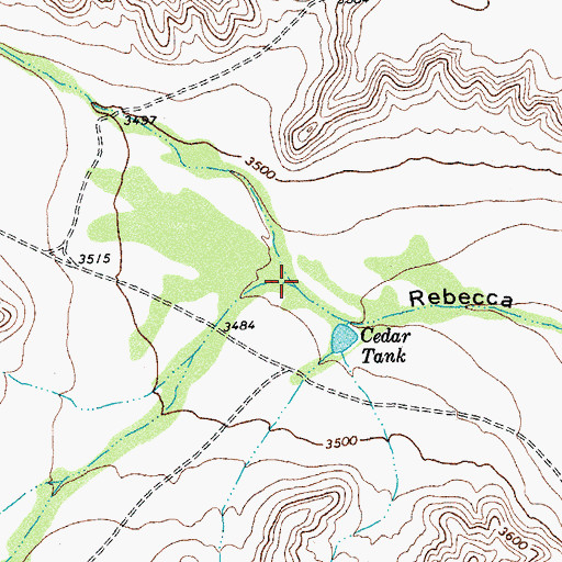 Topographic Map of Cedar Canyon, TX