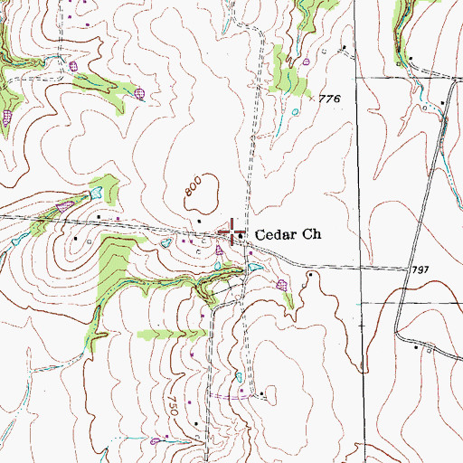 Topographic Map of Cedar Church, TX