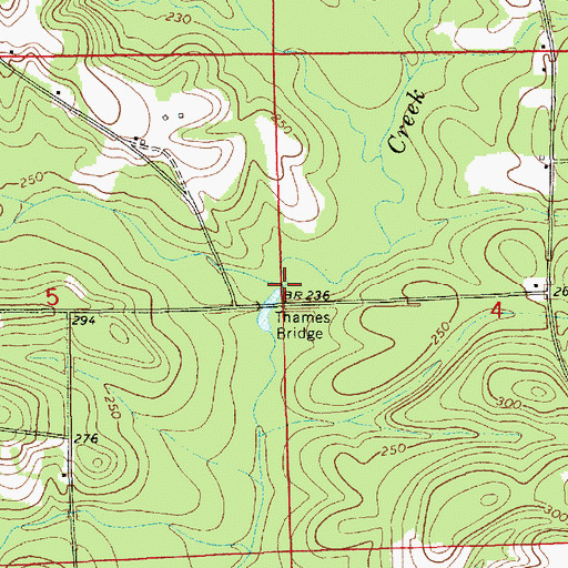 Topographic Map of Pridgeon Branch, AL
