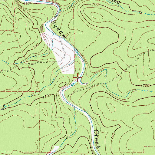 Topographic Map of Cedar Creek, TX