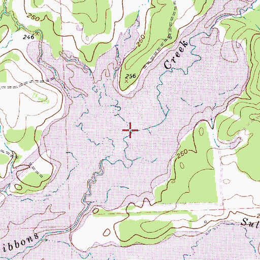Topographic Map of Cedar Creek, TX