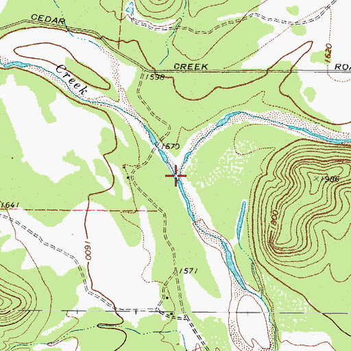 Topographic Map of Cedar Creek, TX