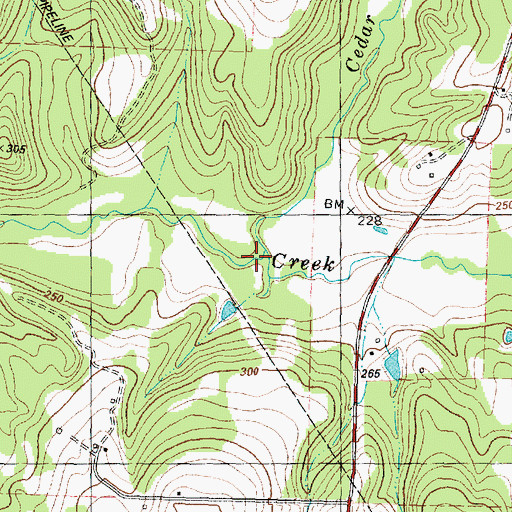 Topographic Map of Cedar Creek, TX