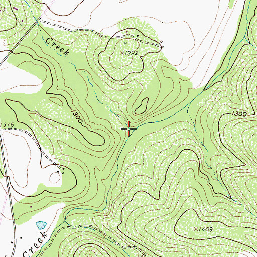 Topographic Map of Cedar Creek, TX