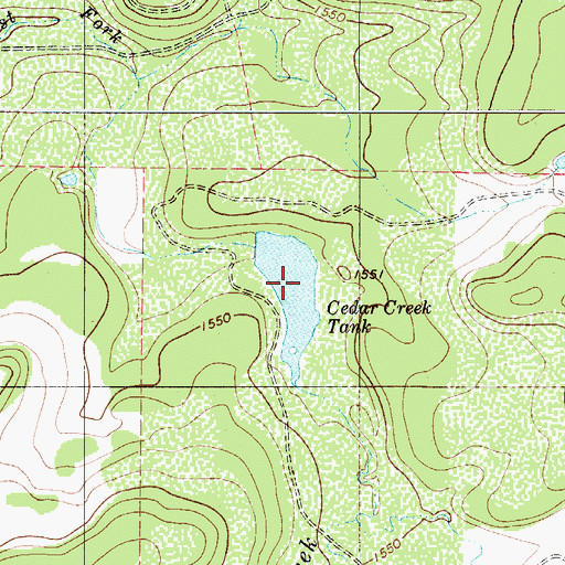 Topographic Map of Cedar Creek Tank, TX
