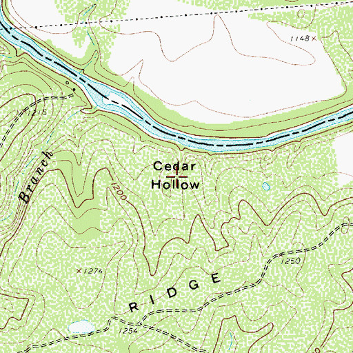 Topographic Map of Cedar Hollow, TX