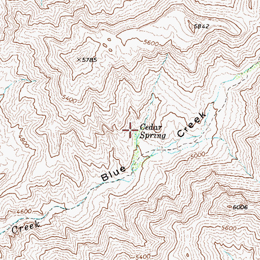 Topographic Map of Cedar Spring, TX