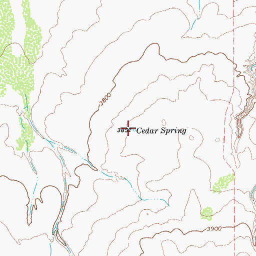Topographic Map of Cedar Spring, TX