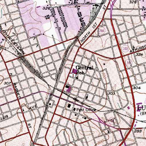 Topographic Map of Central School, TX